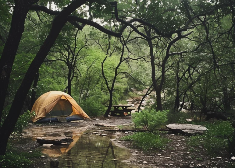 Best camping in Texas